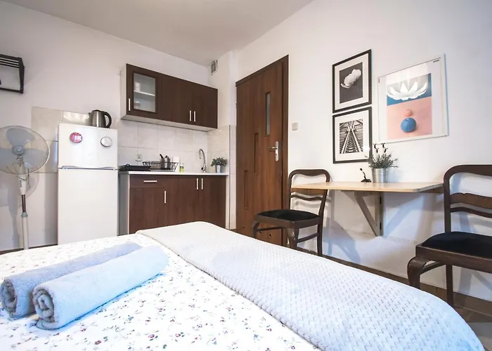 Lion Apartments - Your Own Apartment In Cracow